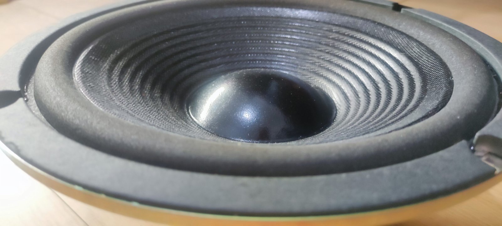 CP-8800
